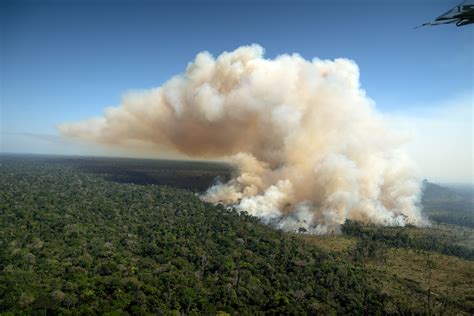 desmatamento 2003 a 2006 amazonia
